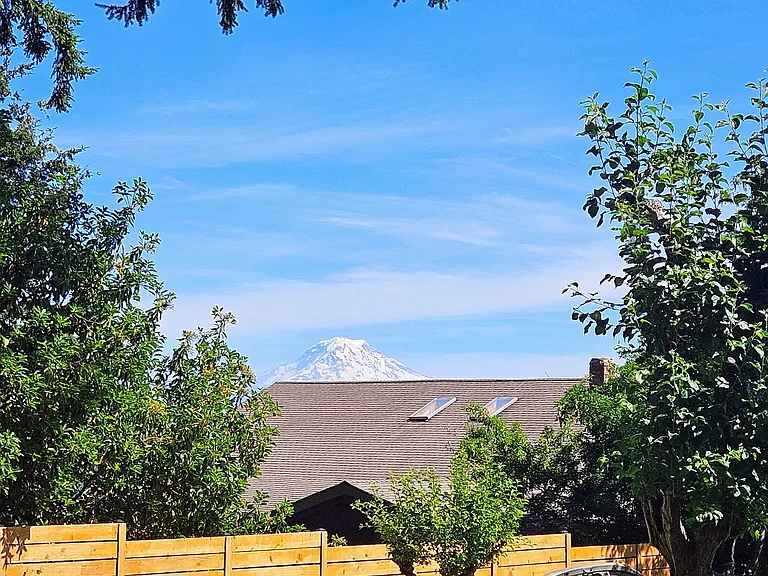 View of Mt Rainier