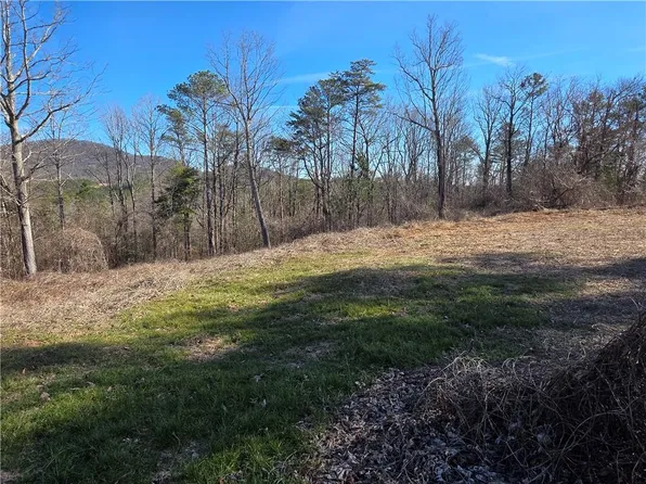 Cowart Mountain Tract Road 2, Jasper, GA 30143