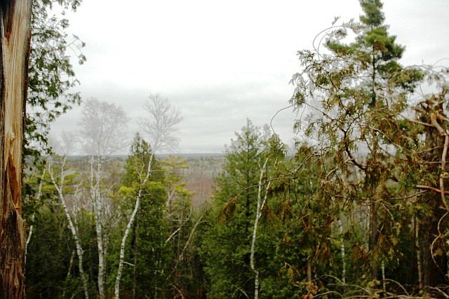 1st image of LOT 9 Welcker Cliff Dr