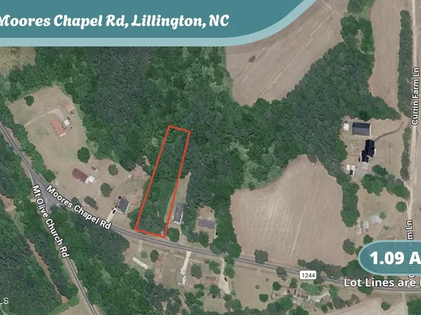 1298 Moores Chapel Road, Lillington, NC 27546