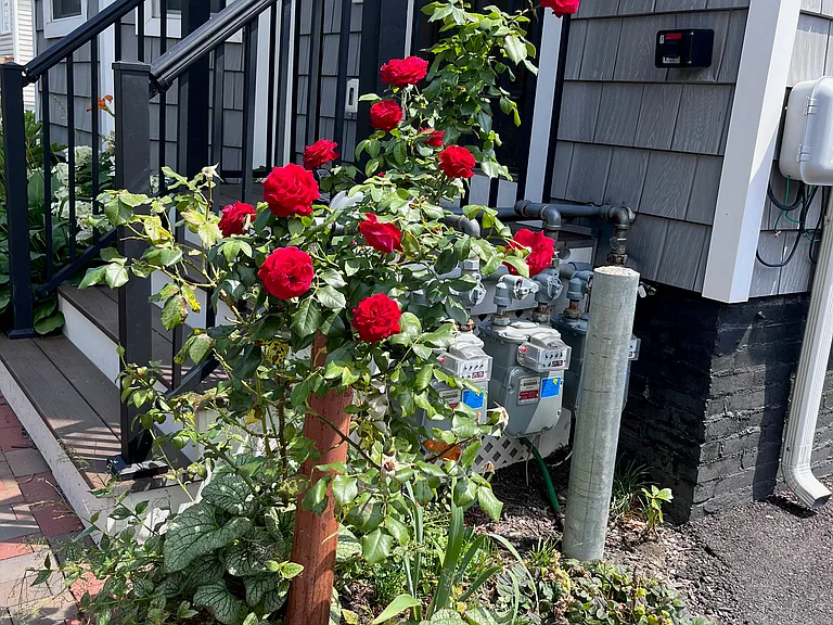 9 Oak St #3 — Photo 19