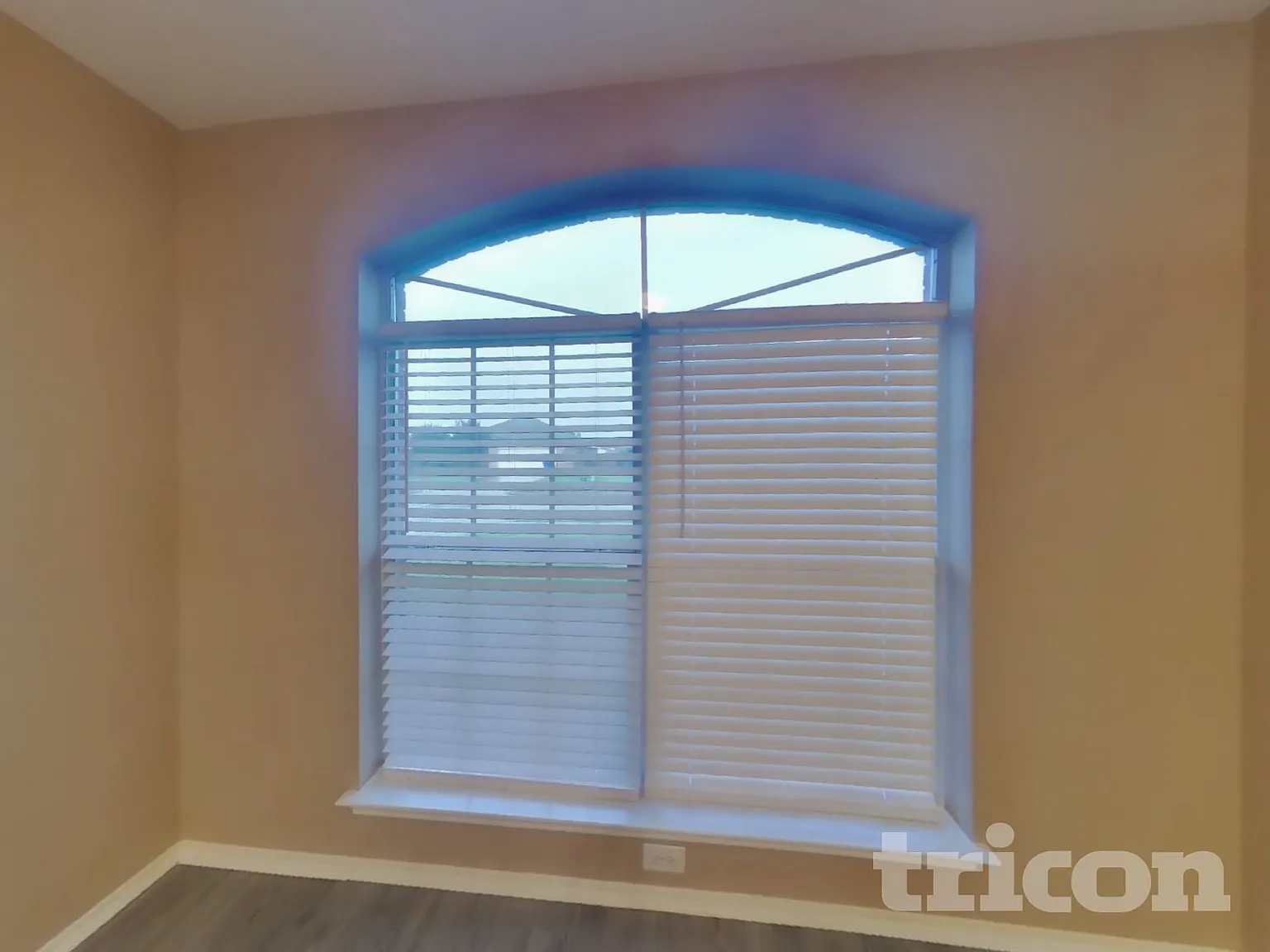 216 Windsor Forney TX — Photo 4