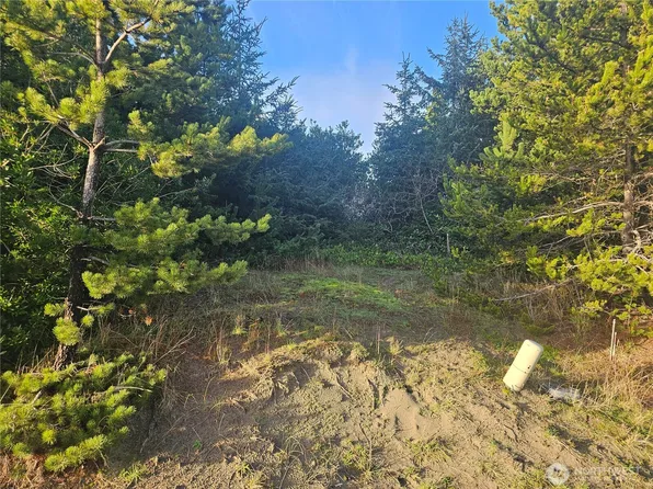276 S Wynoochee Drive SW, Ocean Shores, WA 98569