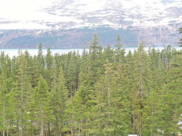 L8-B14 Shotgun Cove Rd, Valdez, AK 99686