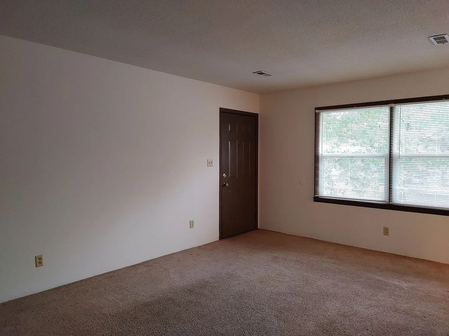 Boxwood 616 — Photo 3
