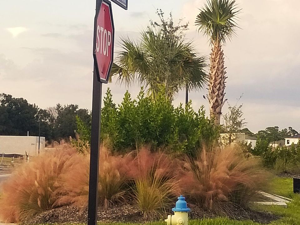 street with sidewalks