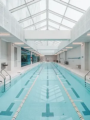 Rented by Platinum Properties | media 20