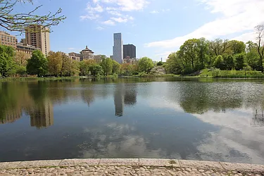 Rented by Alpha Properties NYC I LLC