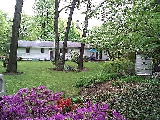 Backyard from back property line