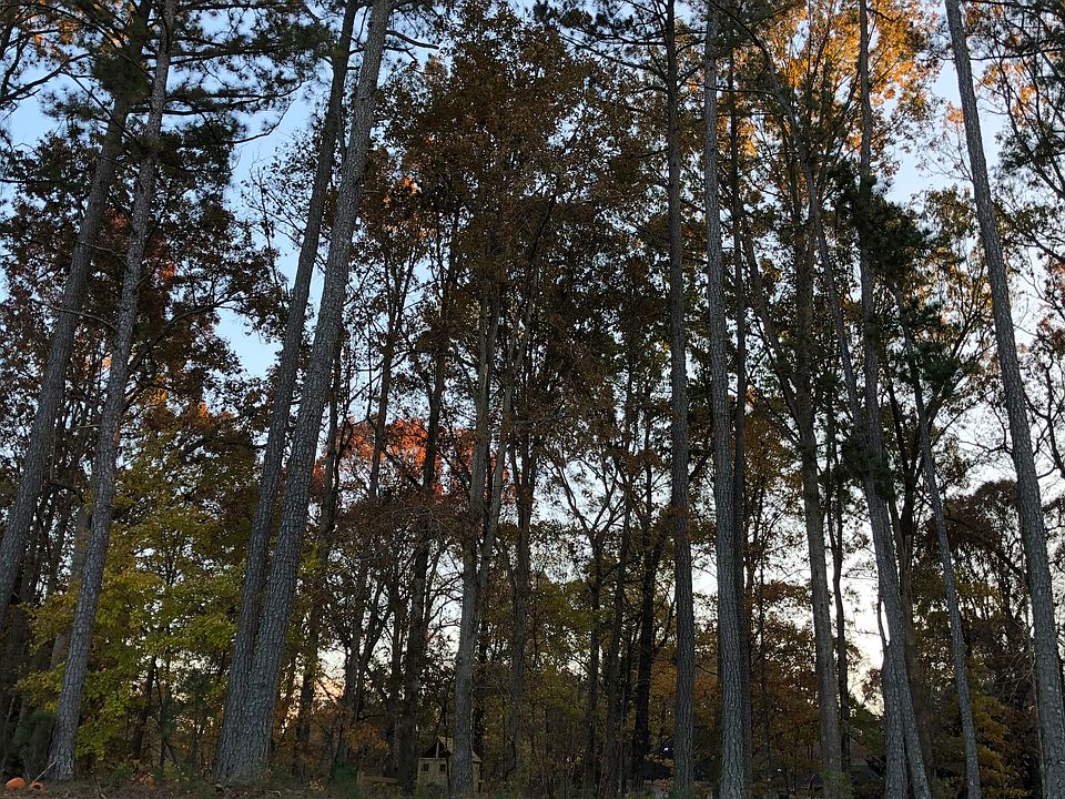 2nd image of 1025 Dozier Way