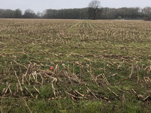 Celery Center Rd, Decatur, MI 49045