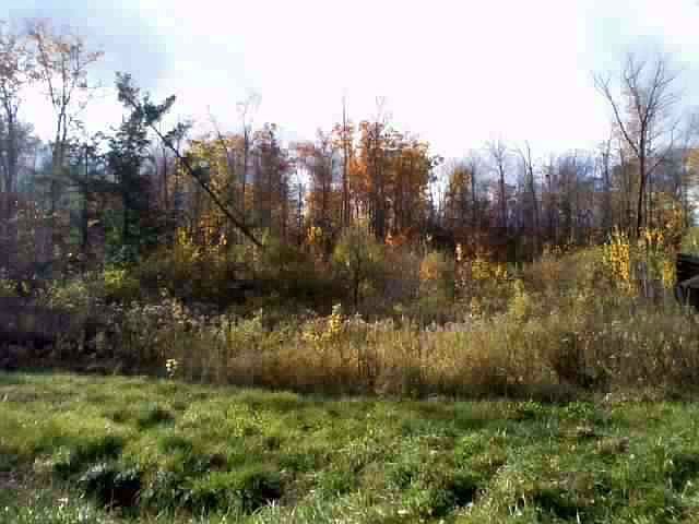2nd image of 975 Dygert Rd