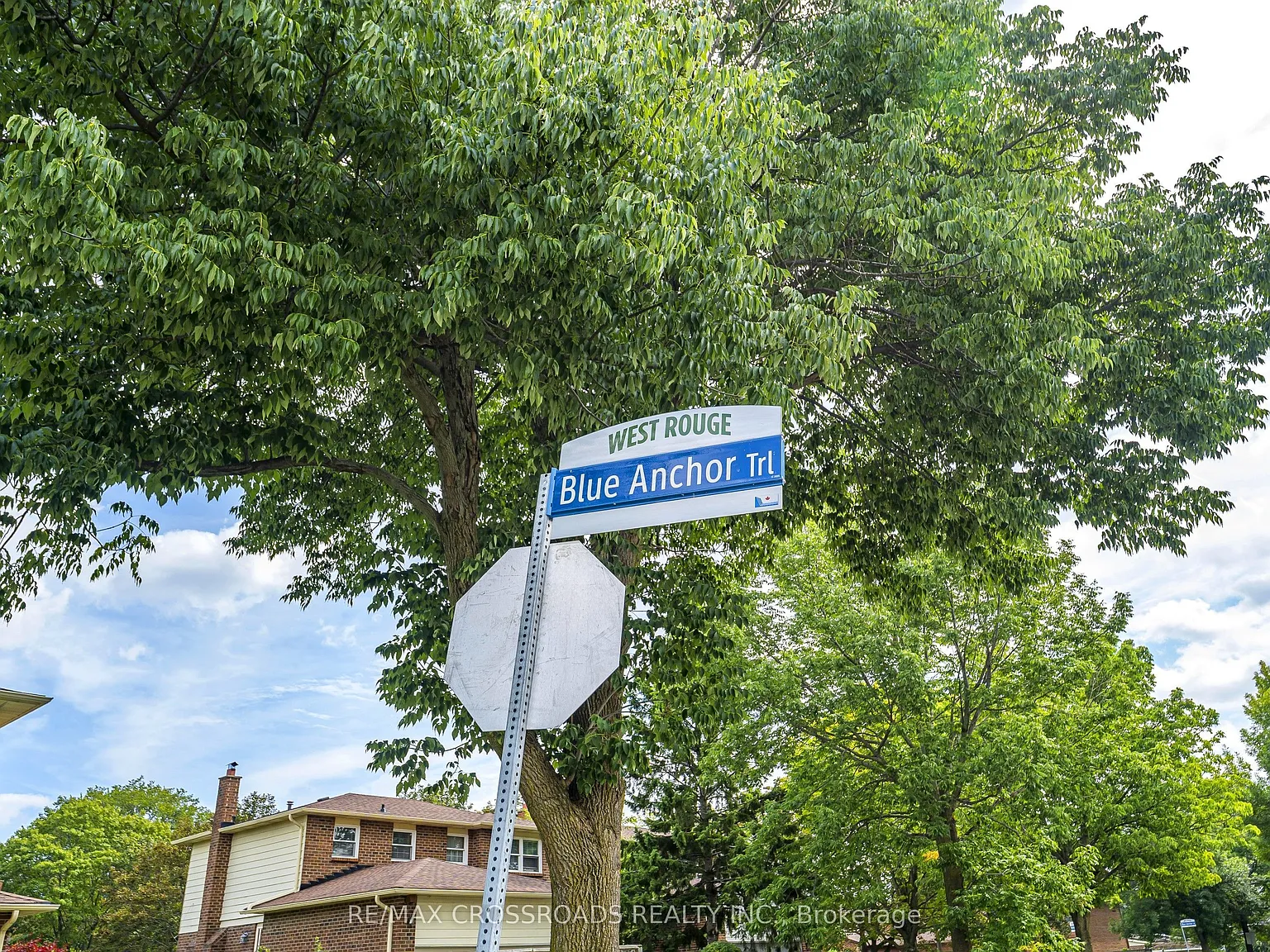 1 bed, $1,250 — Photo 3