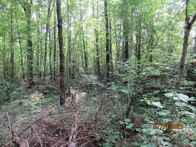 N Highbridge Trl, Phillips, WI, 54555