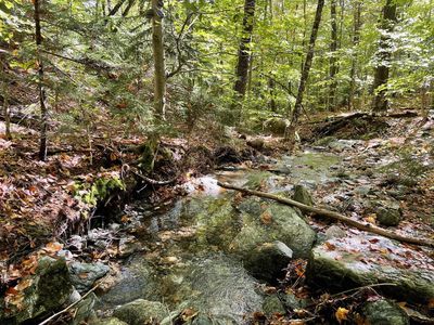 432 Shaw Road, Roxbury, VT, 05669