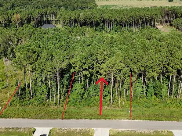 3169 Road 66125, Dayton, TX 77535