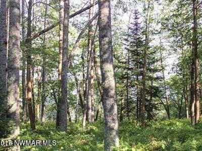 Lakeridge Ln NW, Bemidji, MN, 56601