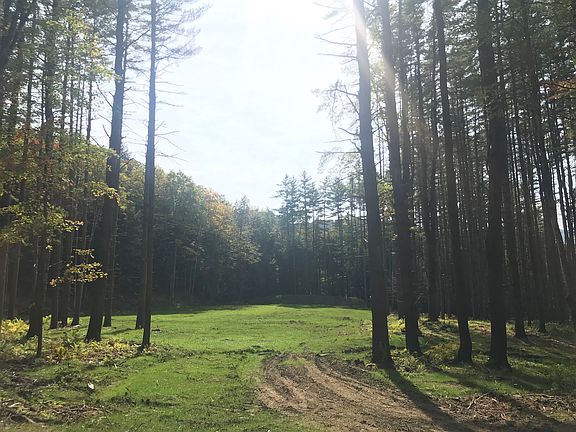 looking south to house site 