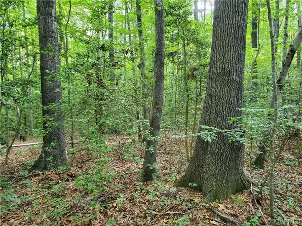 Colemans Lake Rd, Ford, VA 23850