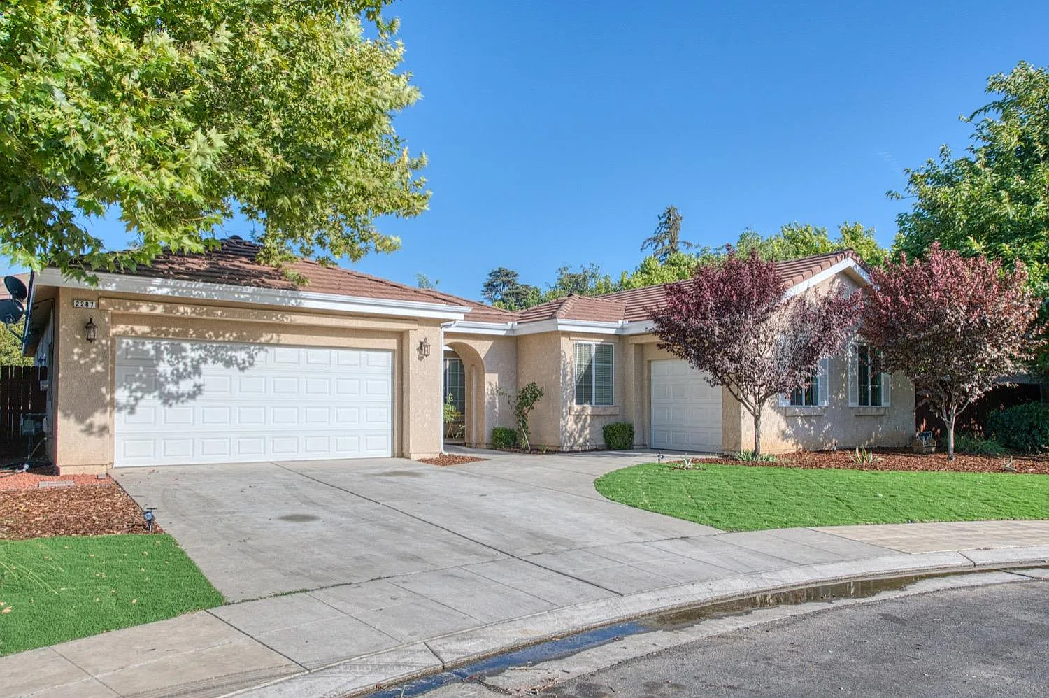 2287 Carson Ave photo 1