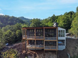 45 Eagle Watch Ct, Blue Ridge, GA 30513