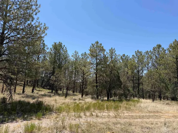 24 Edgewood Rd, Cloudcroft, NM 88317