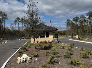 18581 Skylake Village Dr LOT 1, Lutz, FL 33549