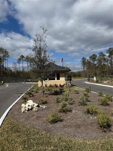 18581 Skylake Village Dr Lot 1, Lutz, FL, 33549