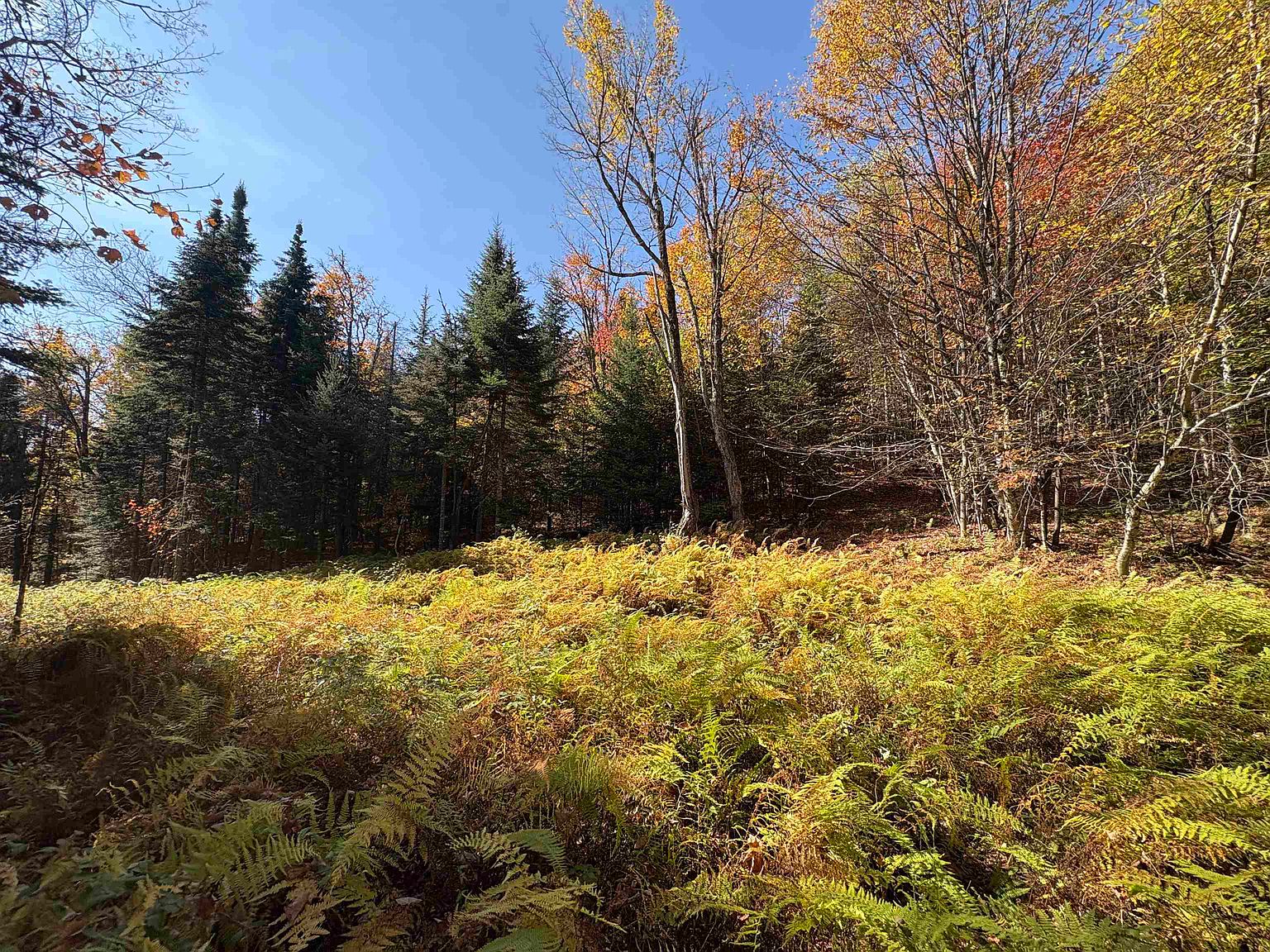 000 Baird Road, West Burke, VT 05871 | Zillow