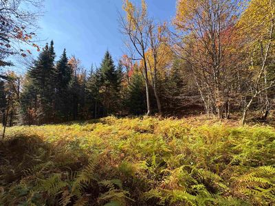 000 Baird Road, West Burke, VT, 05871