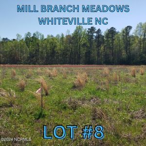 97 Mill Branch Drive, Whiteville, NC, 28472
