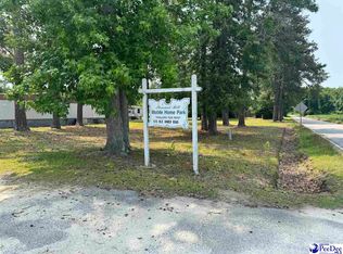 1515 Old Hamer Rd, Hamer, SC 29547