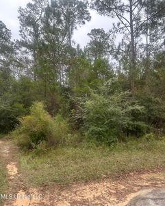 Oakplace Dr LOT 9, Vancleave, MS, 39565