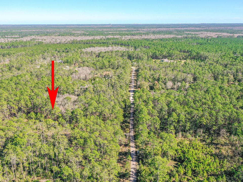 1st image of 3656 Conifer Ln
