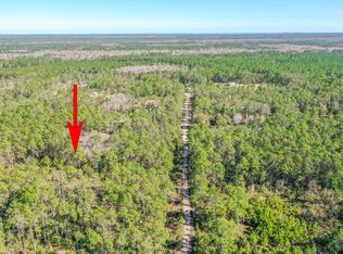 3656 Conifer Ln, Ormond Beach, FL 32174