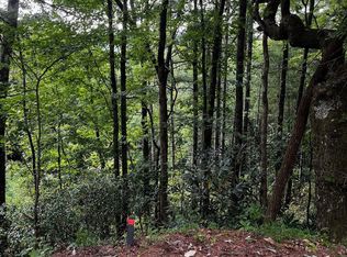 0 W Sugarbush Dr, Dillard, GA 30537