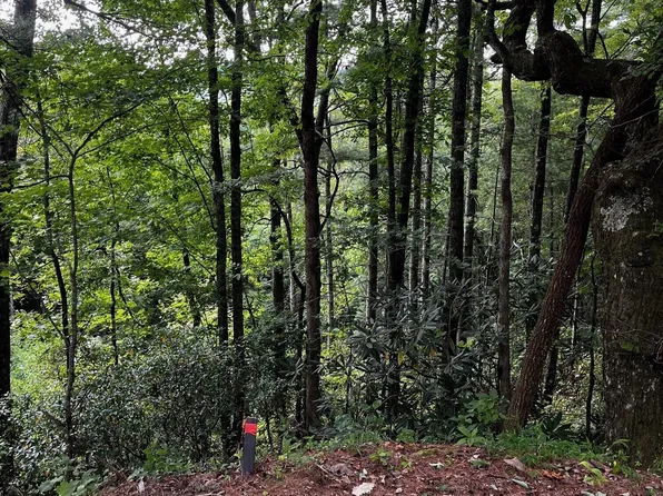 0 W Sugarbush Dr, Dillard, GA 30537