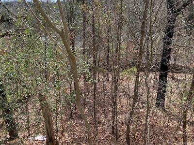 0 Wildwood Dr, Ash Flat, AR, 72513