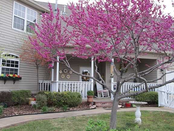 covered side porch