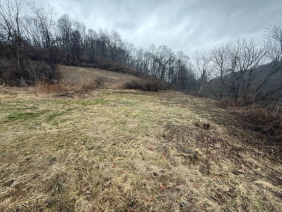 3rd image of 0 Golden Oaks Rd