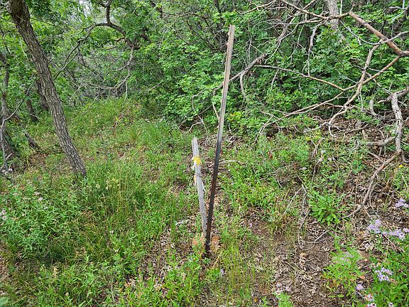 3rd image of 1132 Shadow Canyon Rd
