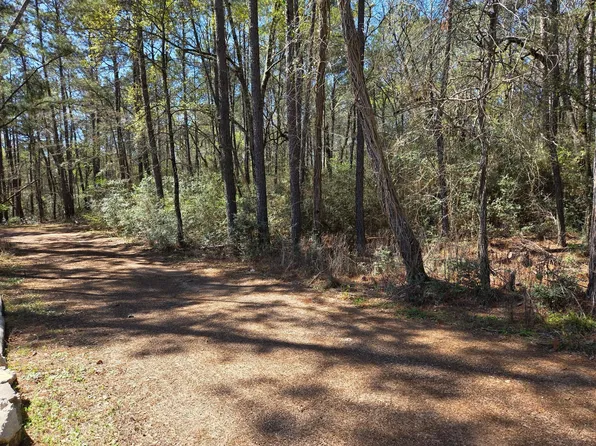 LOT 19 Hackberry Dr, Plantersville, TX 77363