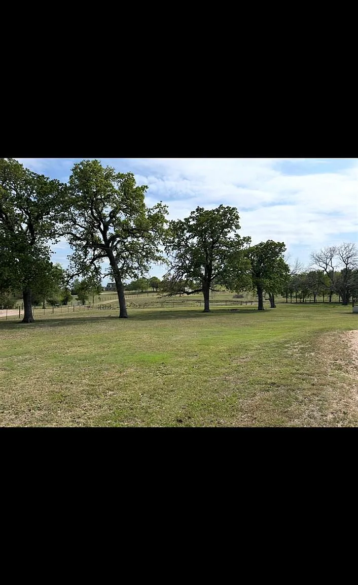 1 bed, 1.0 bath, 730 sqft, $1,900 — Photo 3