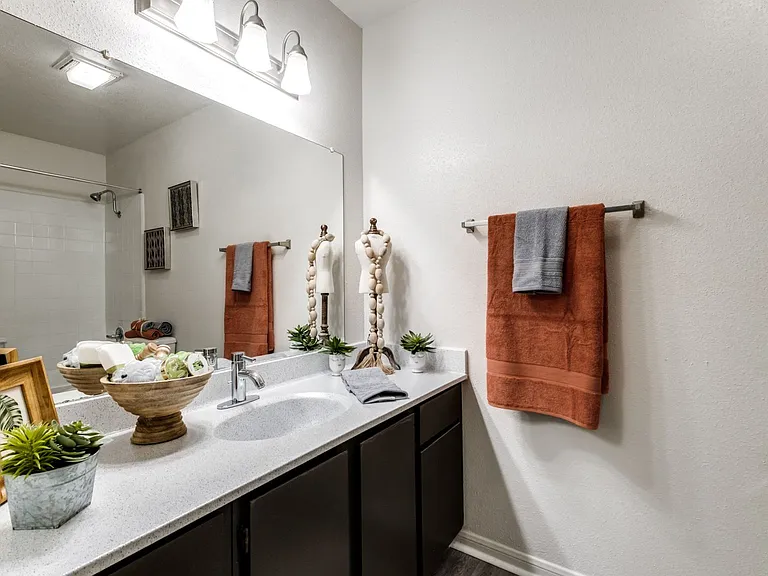 Biltmore Park Apartments — Photo 15