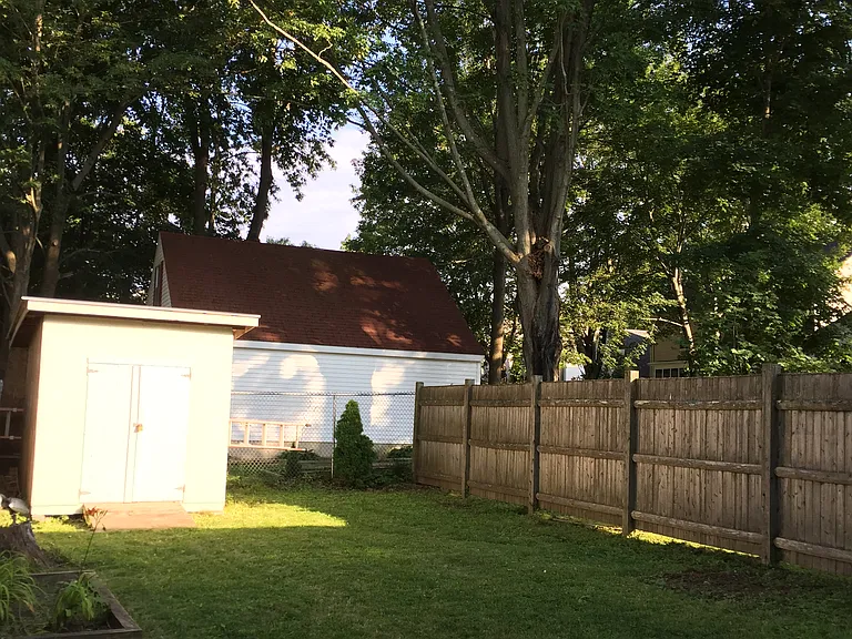 Backyard Space