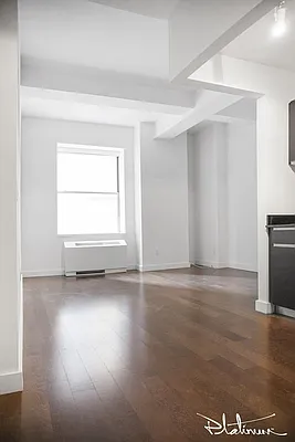 Rented by Platinum Properties | media 27