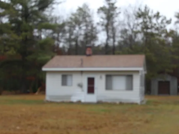 921 E Kittle Rd, Mio, MI 48647