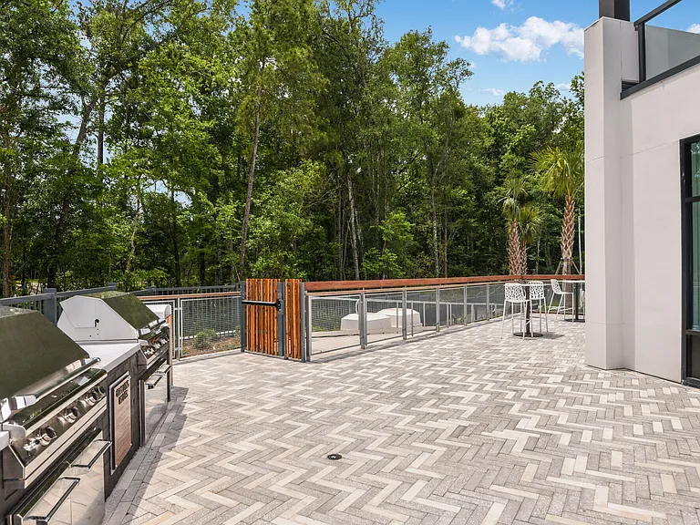 Olympus Preserve at Town Center — Photo 33