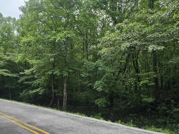 3/ACRE S County Road 106, Mentone, AL 35984