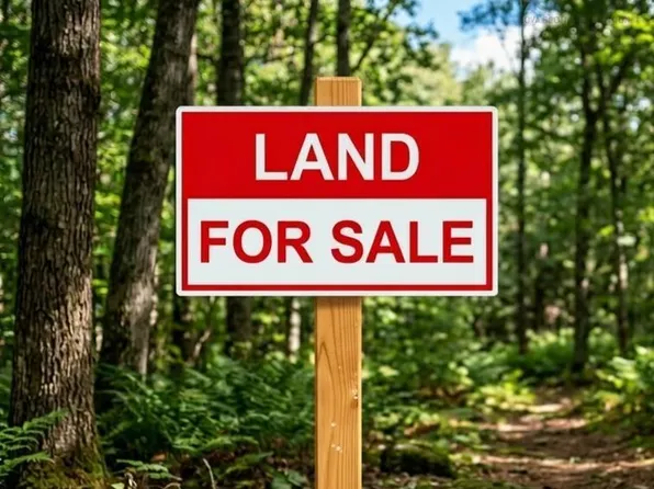 LOT Highway 10, Albany Cross, NS B0S 1P0